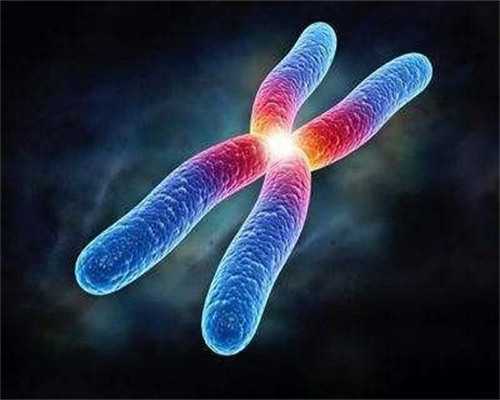 廊坊三代试管机构名单与代怀费用详情汇总